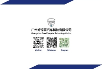 Guangzhou Good Surprise Technology Co Ltd